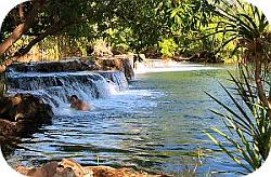 Swimmer-at-Mataranka-Falls