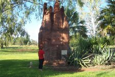 giant termite mound mataranka